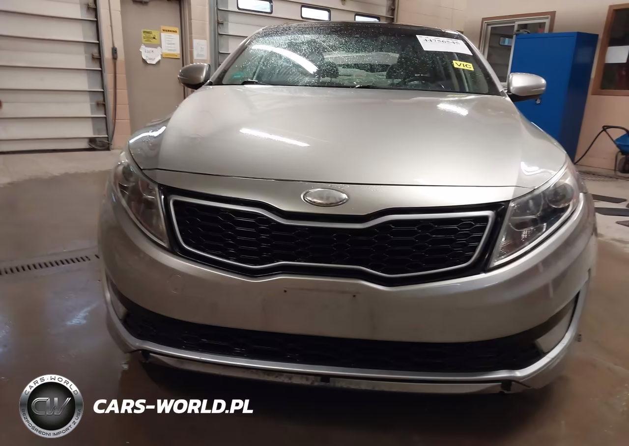 2013 Kia Optima Hybrid Ex VIN:KNAGM4AD4D5039658 - 12