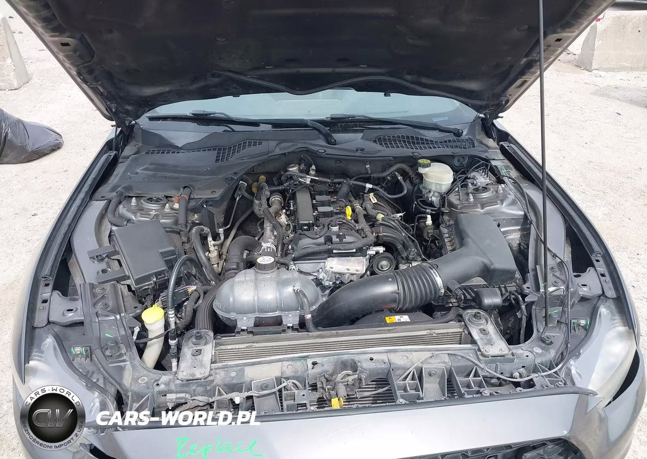 2015 Ford Mustang Ecoboost VIN:1FA6P8TH9F5399918 - 10