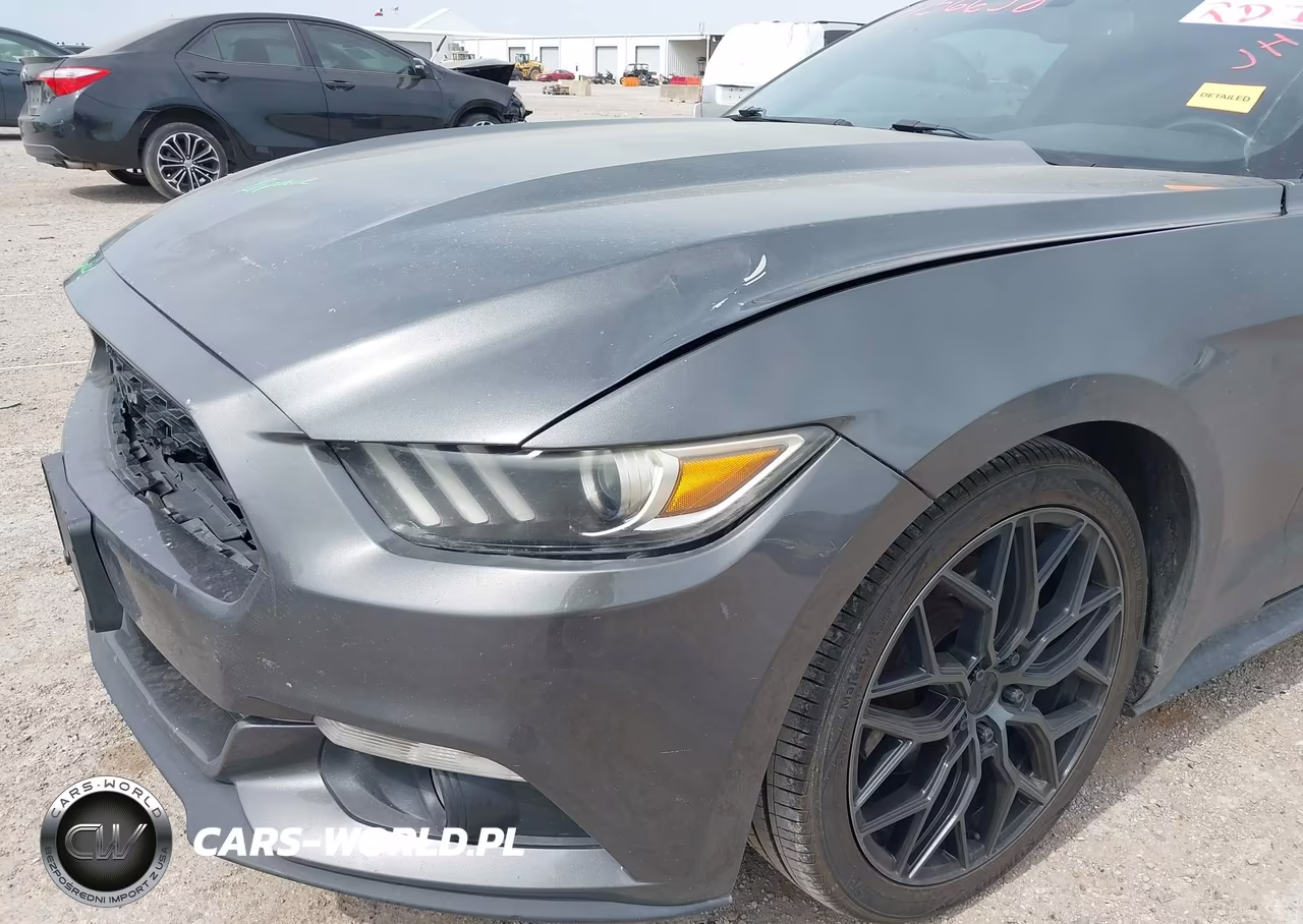 2015 Ford Mustang Ecoboost VIN:1FA6P8TH9F5399918 - 19