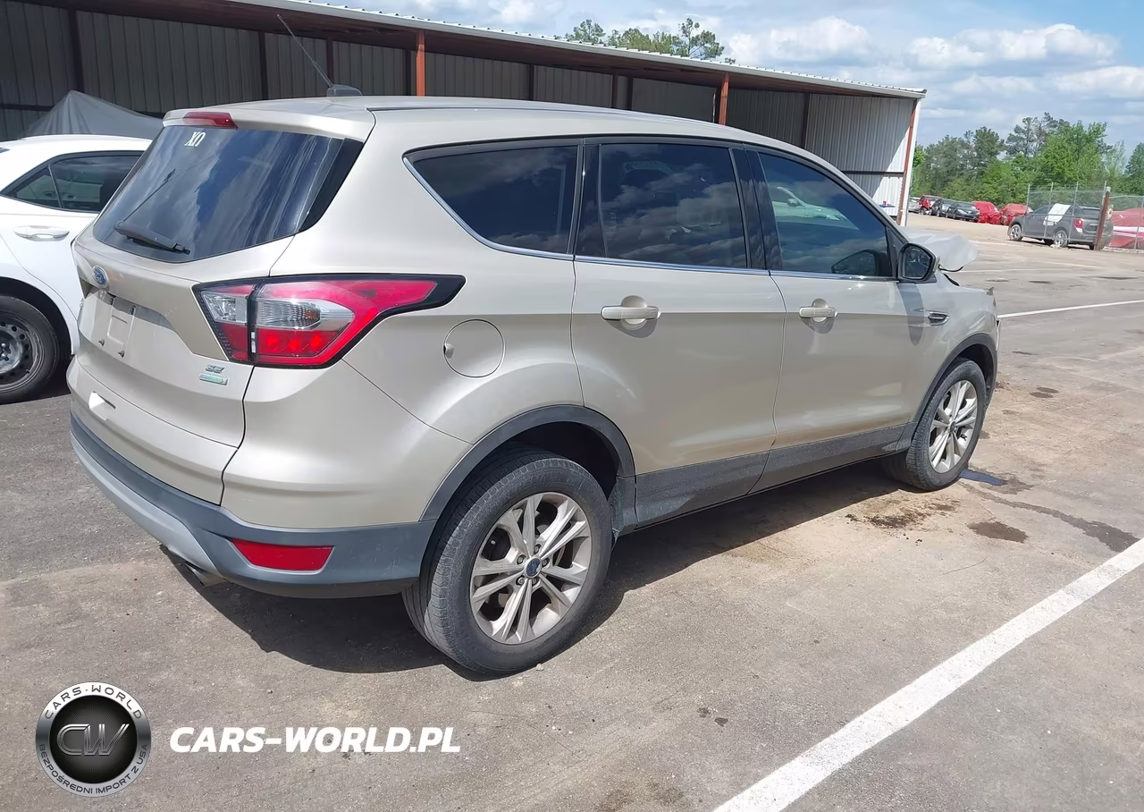 2017 Ford Escape Se VIN:1FMCU0GD3HUD75116 - 4