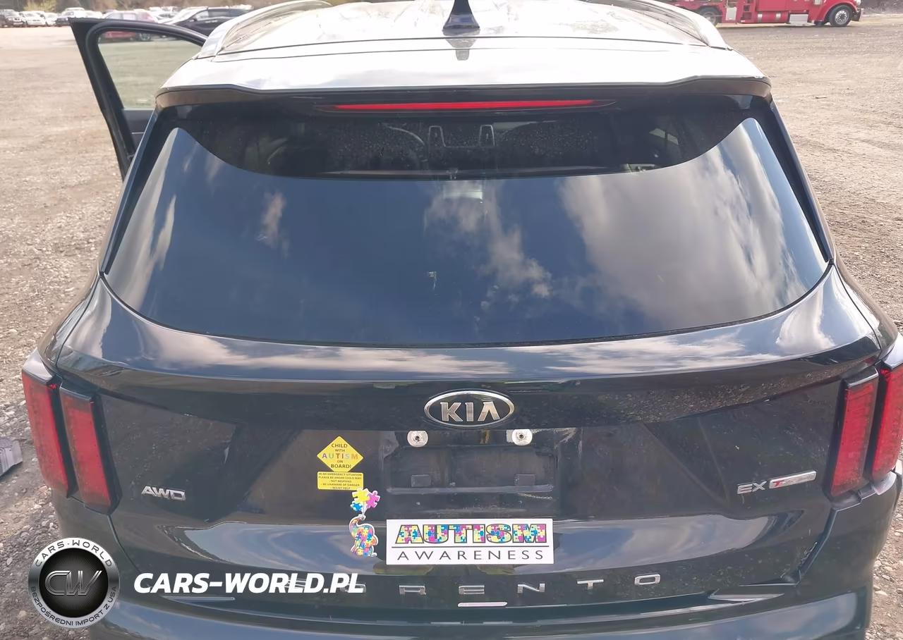 2021 Kia Sorento Ex VIN:5XYRHDLF9MG018696 - 16