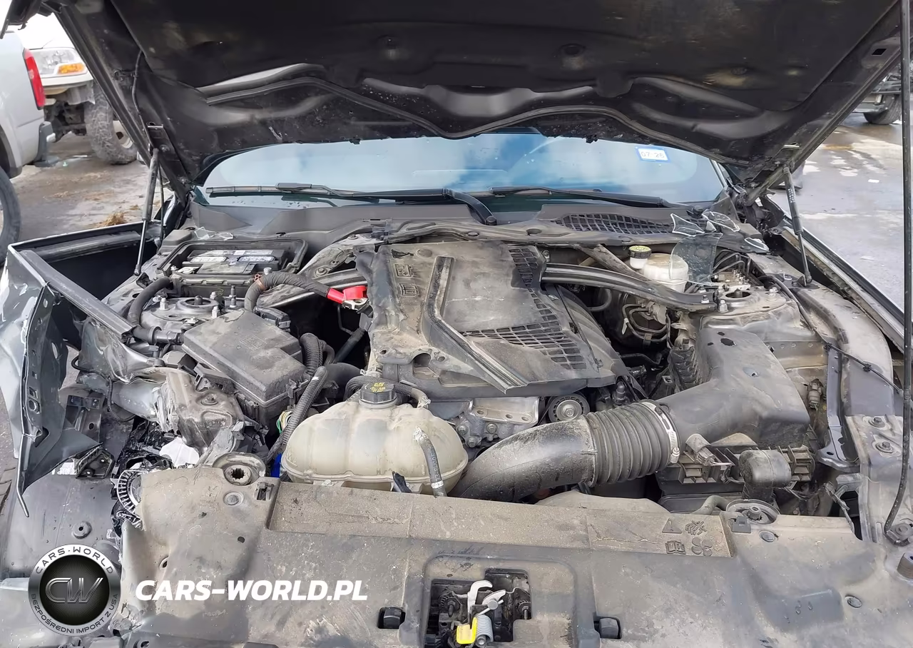 2020 Ford Mustang Ecoboost Fastback VIN:1FA6P8TD3L5191946 - 10