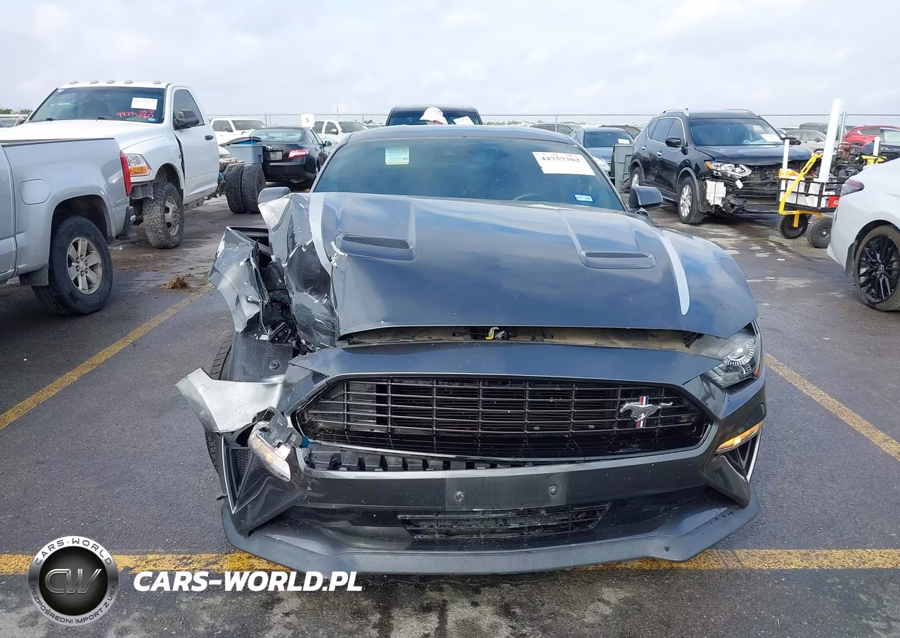 2020 Ford Mustang Ecoboost Fastback VIN:1FA6P8TD3L5191946 - 12