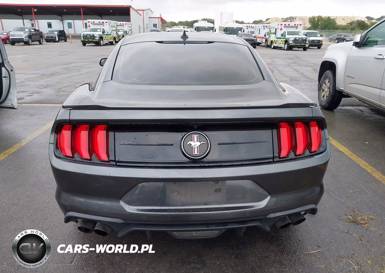 2020 Ford Mustang Ecoboost Fastback VIN:1FA6P8TD3L5191946 - 16