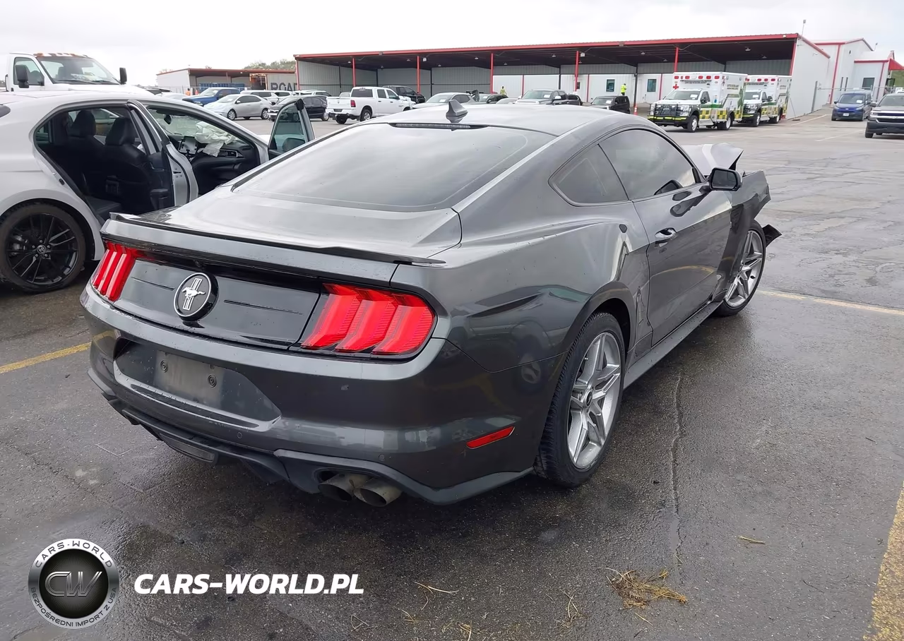 2020 Ford Mustang Ecoboost Fastback VIN:1FA6P8TD3L5191946 - 4