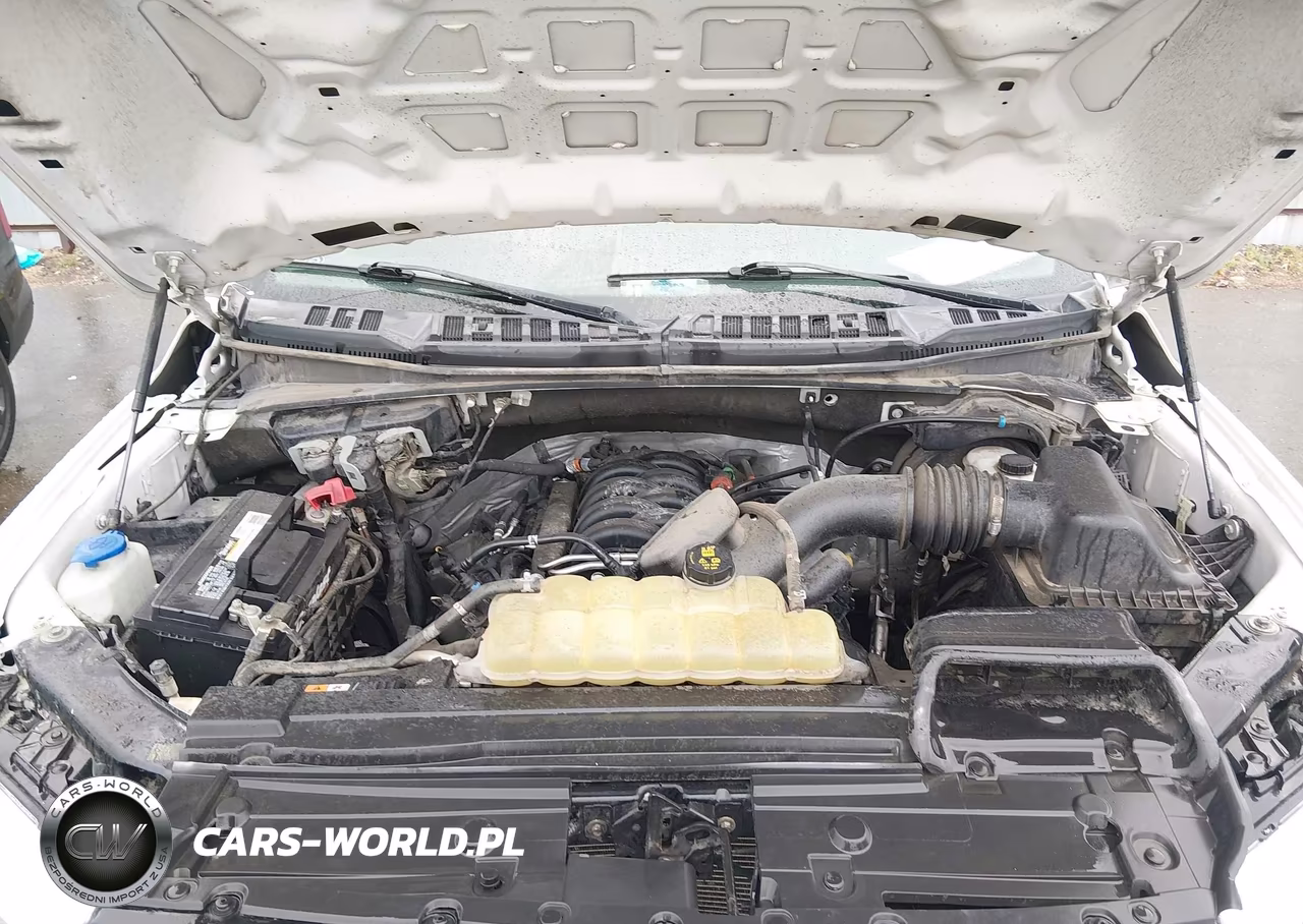 2019 Ford F-150 Xl VIN:1FTEW1E59KKF18856 - 10
