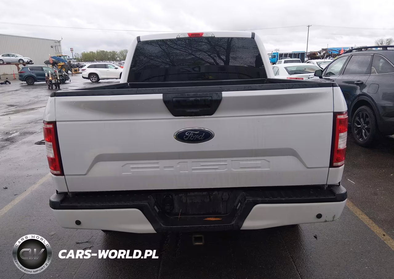 2019 Ford F-150 Xl VIN:1FTEW1E59KKF18856 - 17