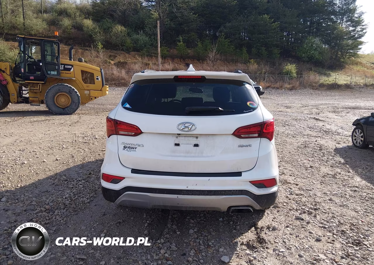 2017 Hyundai Santa Fe Sport 2.4L VIN:5NMZU3LB8HH002990 - 17