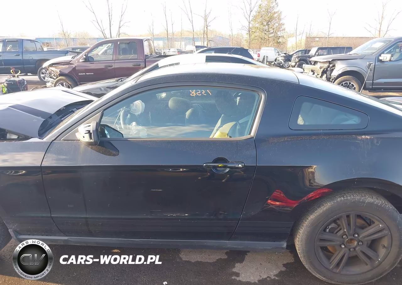 2010 Ford Mustang V6-V6 Premium VIN:1ZVBP8AN4A5150207 - 15