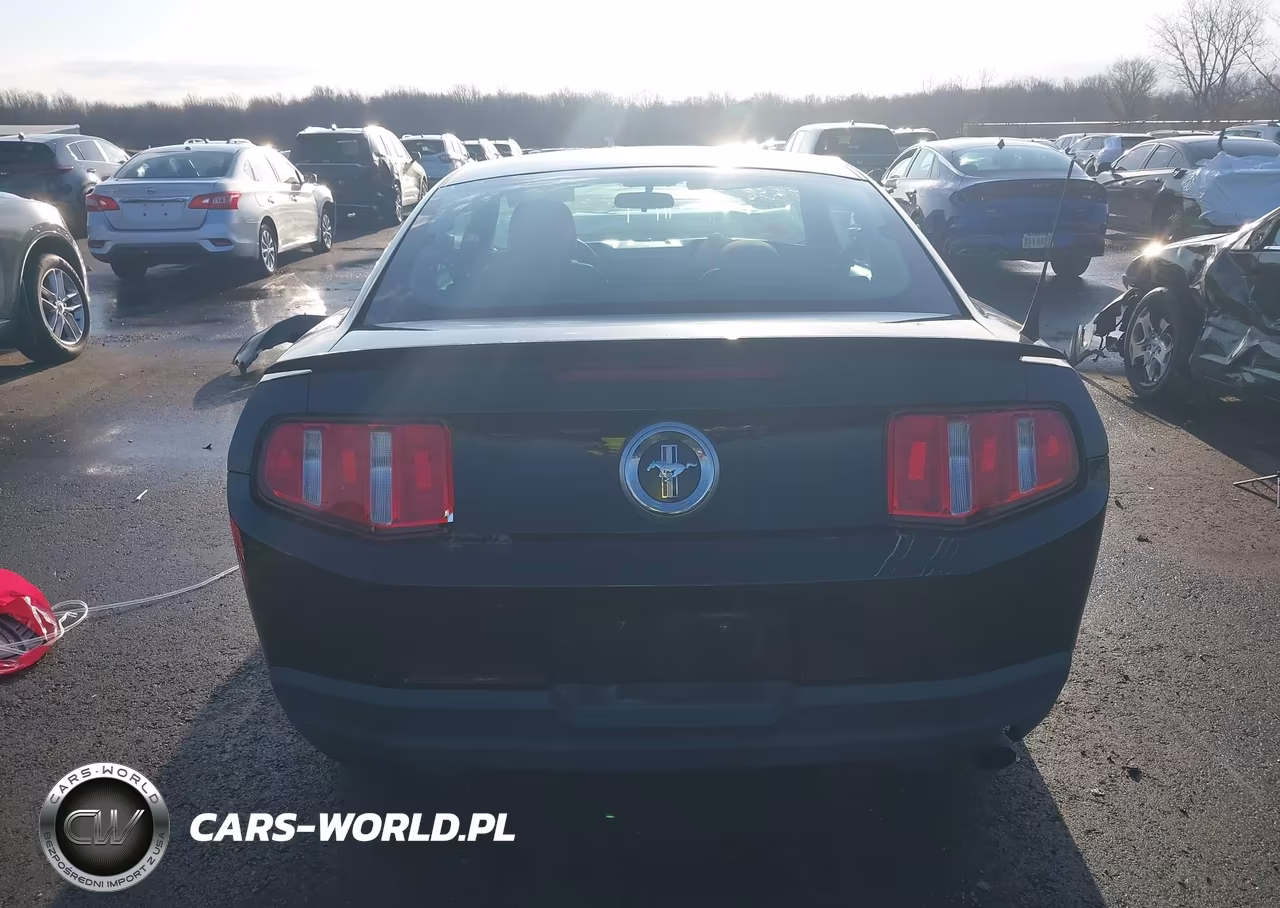 2010 Ford Mustang V6-V6 Premium VIN:1ZVBP8AN4A5150207 - 17