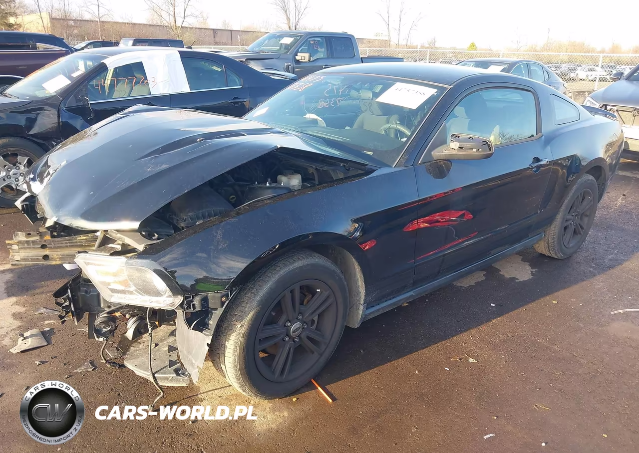 2010 Ford Mustang V6-V6 Premium VIN:1ZVBP8AN4A5150207 - 2