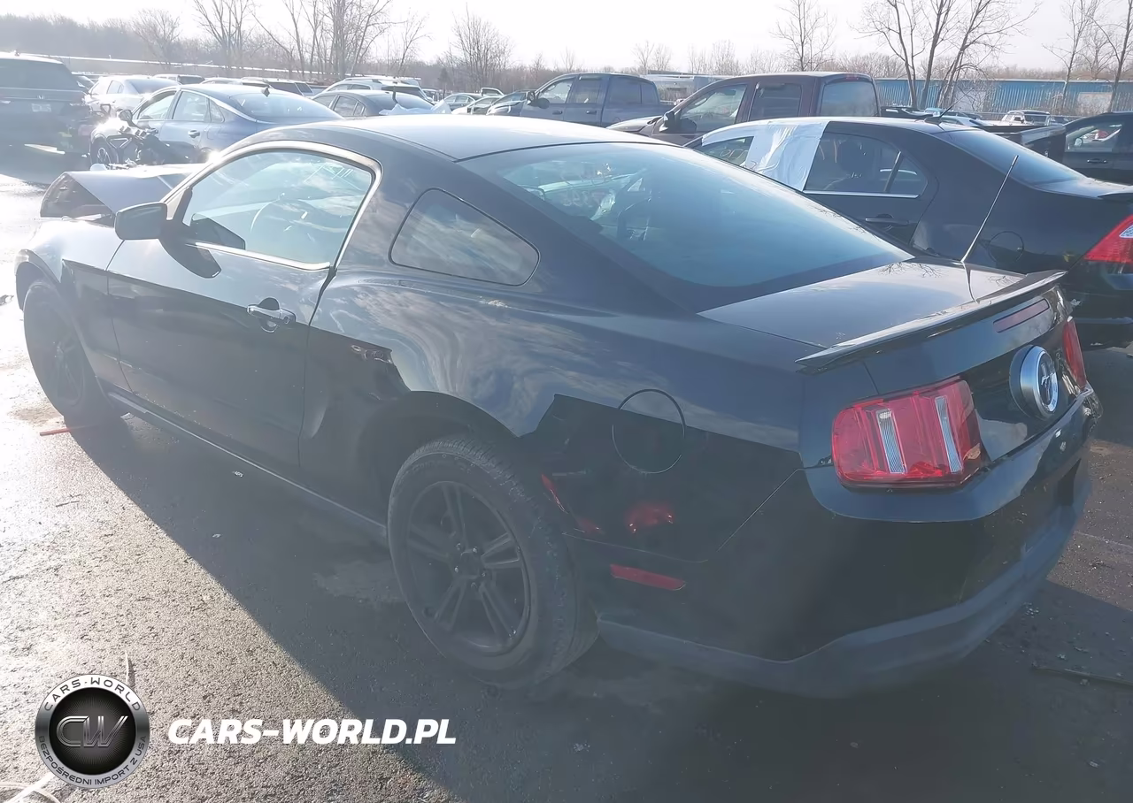 2010 Ford Mustang V6-V6 Premium VIN:1ZVBP8AN4A5150207 - 3