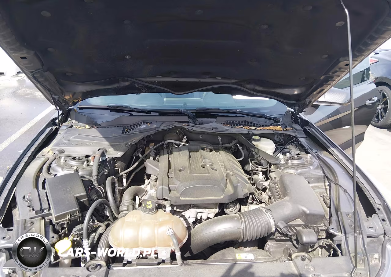 2016 Ford Mustang Ecoboost VIN:1FA6P8TH4G5250849 - 10