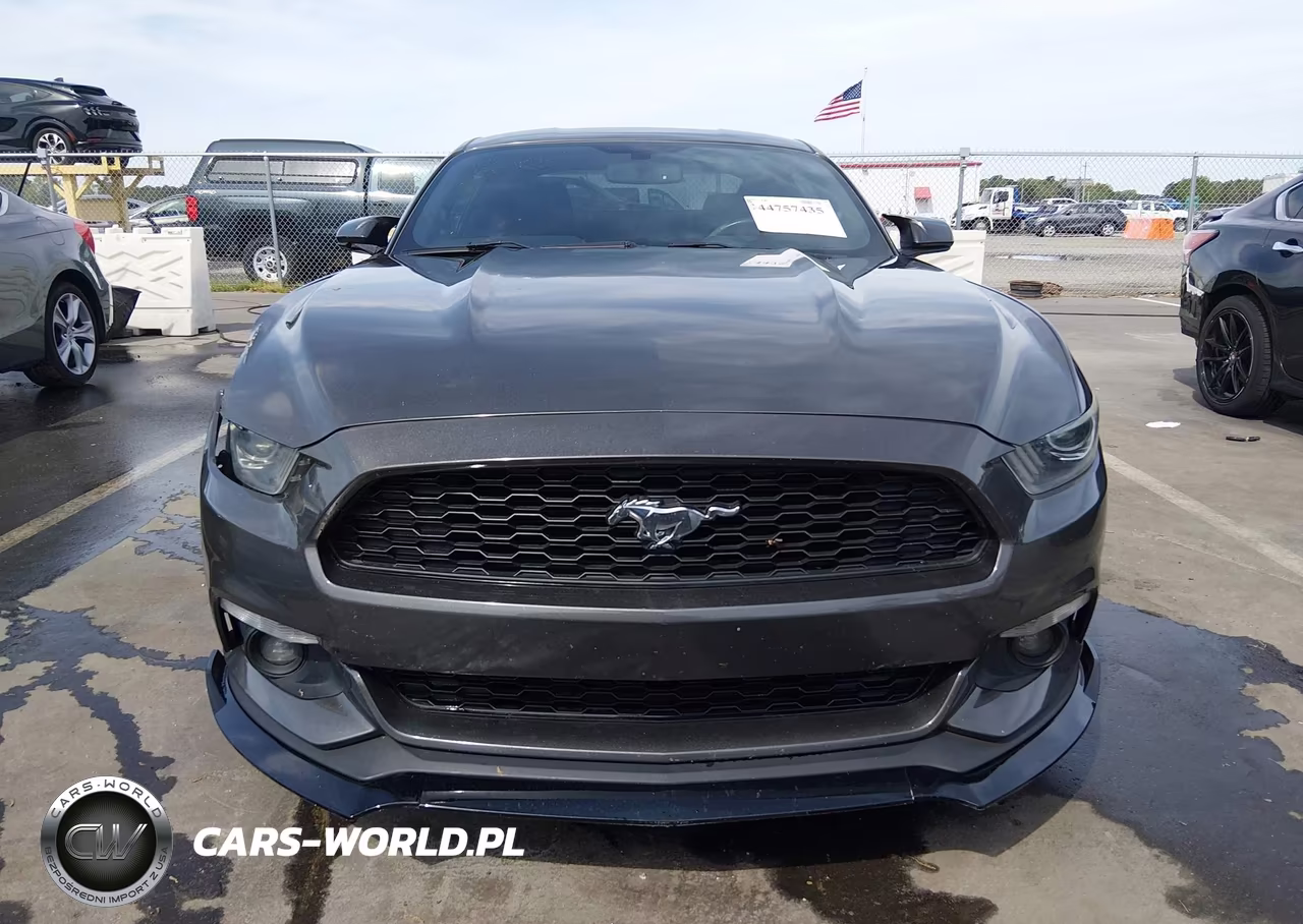 2016 Ford Mustang Ecoboost VIN:1FA6P8TH4G5250849 - 12