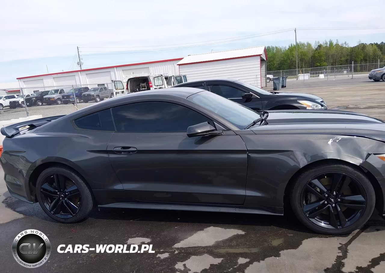 2016 Ford Mustang Ecoboost VIN:1FA6P8TH4G5250849 - 13