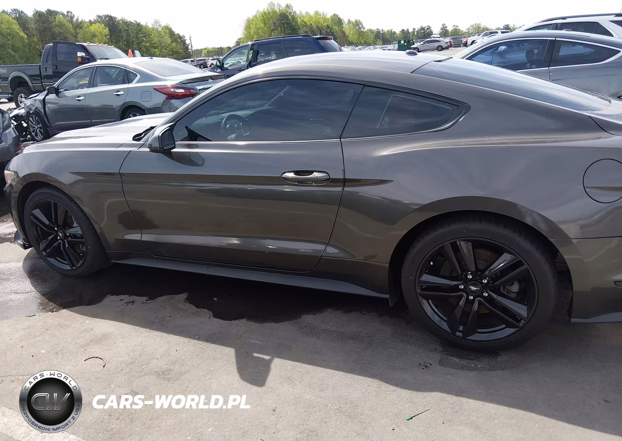 2016 Ford Mustang Ecoboost VIN:1FA6P8TH4G5250849 - 14