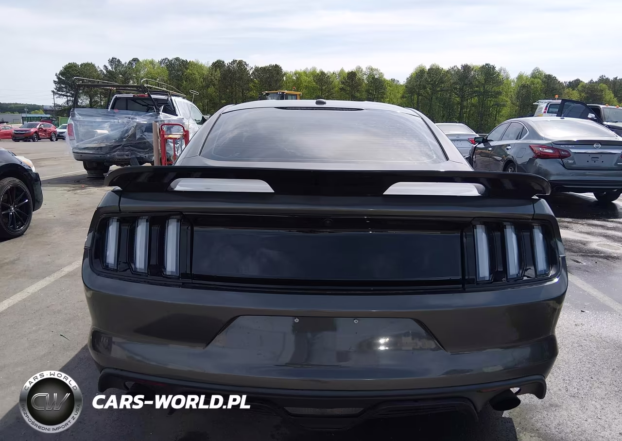 2016 Ford Mustang Ecoboost VIN:1FA6P8TH4G5250849 - 16