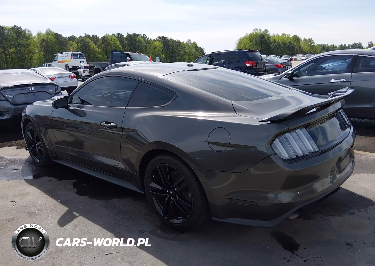 2016 Ford Mustang Ecoboost VIN:1FA6P8TH4G5250849 - 3