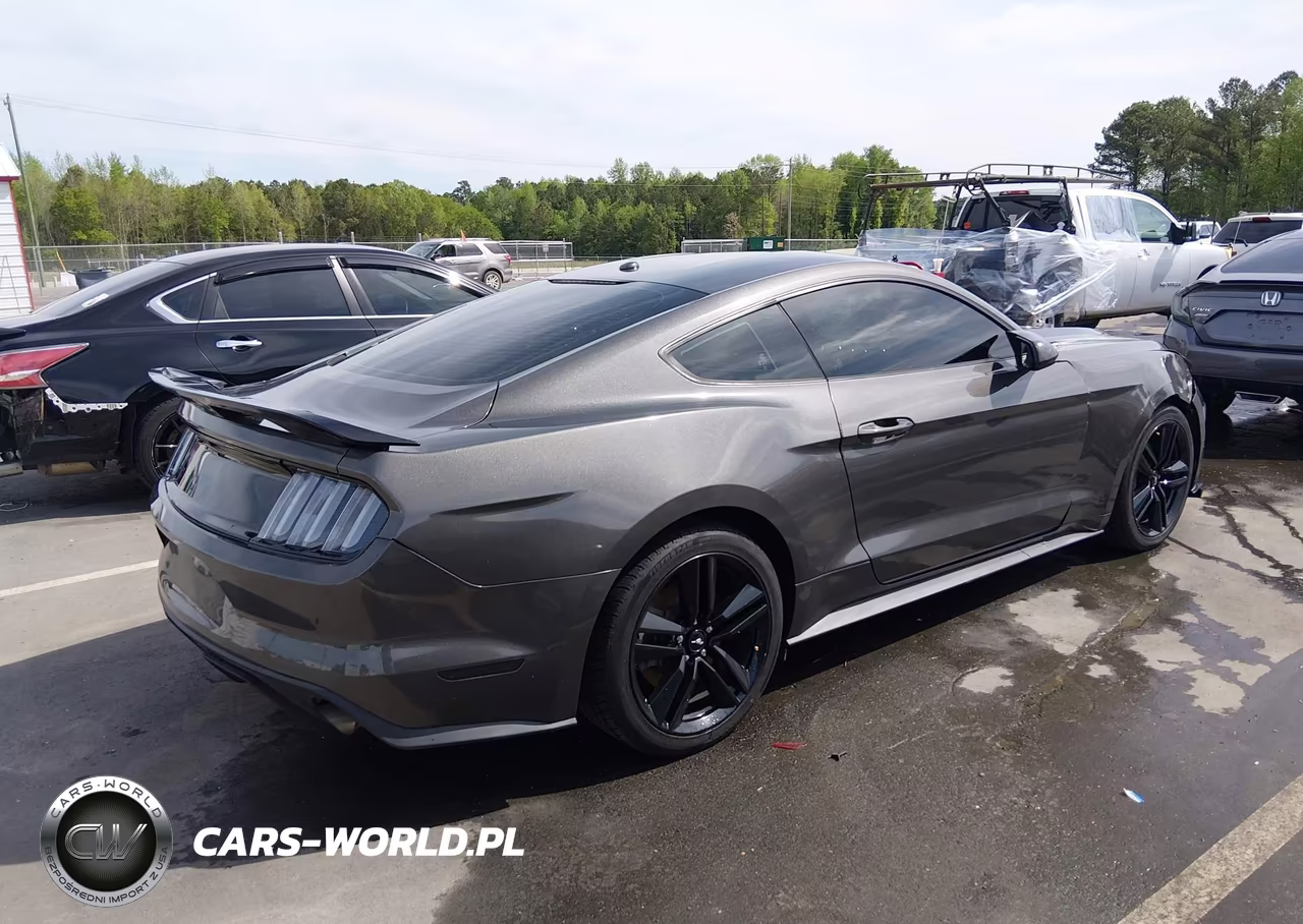 2016 Ford Mustang Ecoboost VIN:1FA6P8TH4G5250849 - 4