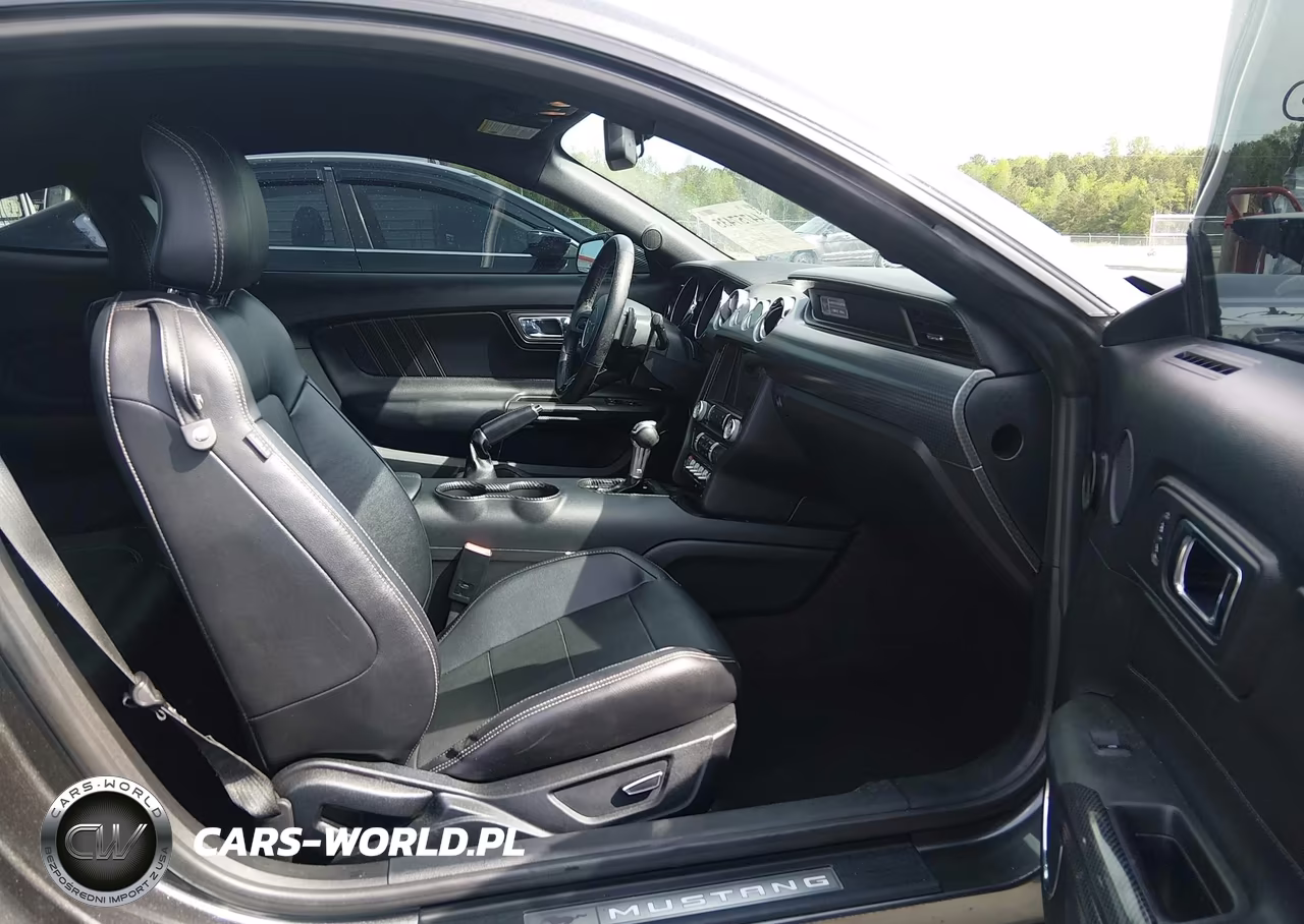2016 Ford Mustang Ecoboost VIN:1FA6P8TH4G5250849 - 5