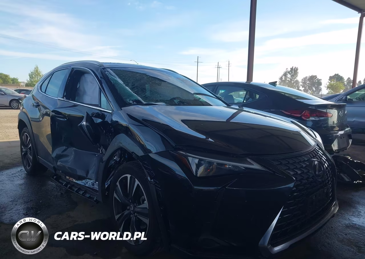 2025 Lexus Ux 300H