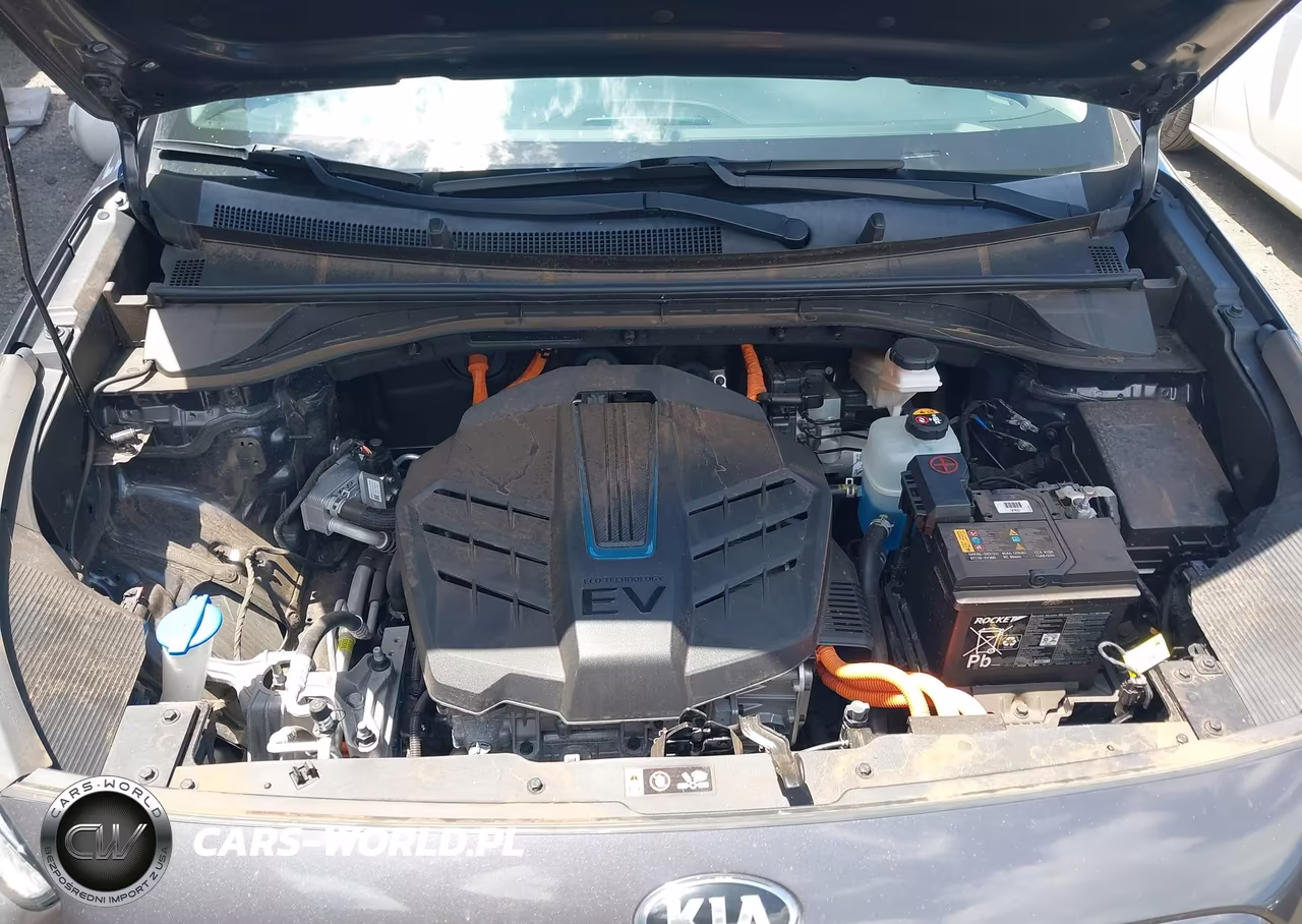 2020 Kia Niro Ev Ex VIN:KNDCC3LG0L5062956 - 10