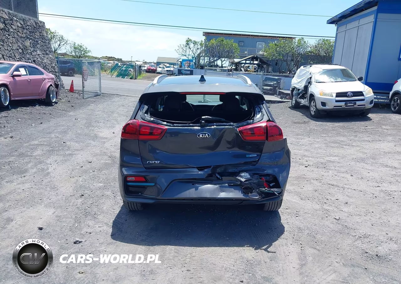 2020 Kia Niro Ev Ex VIN:KNDCC3LG0L5062956 - 16