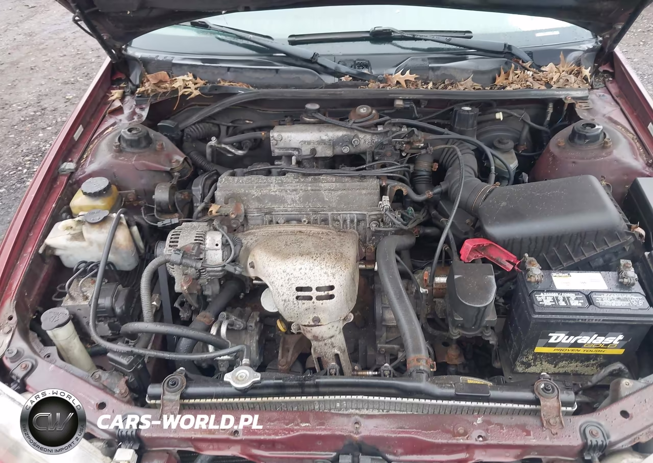 2000 Toyota Camry Le VIN:4T1BG22K5YU646438 - 10