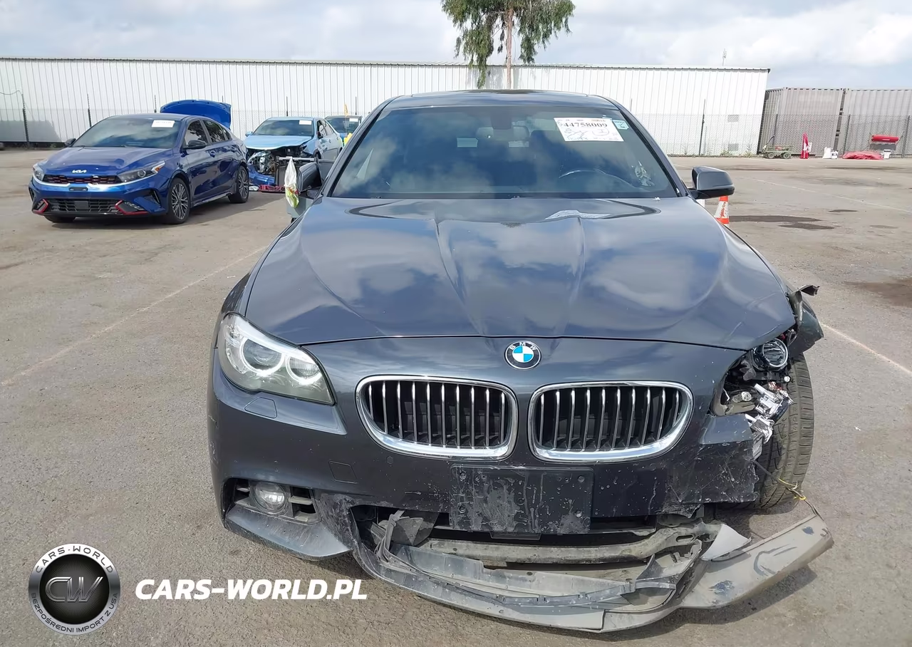 2016 BMW 528I xDrive VIN:WBA5A7C52GG149978 - 12