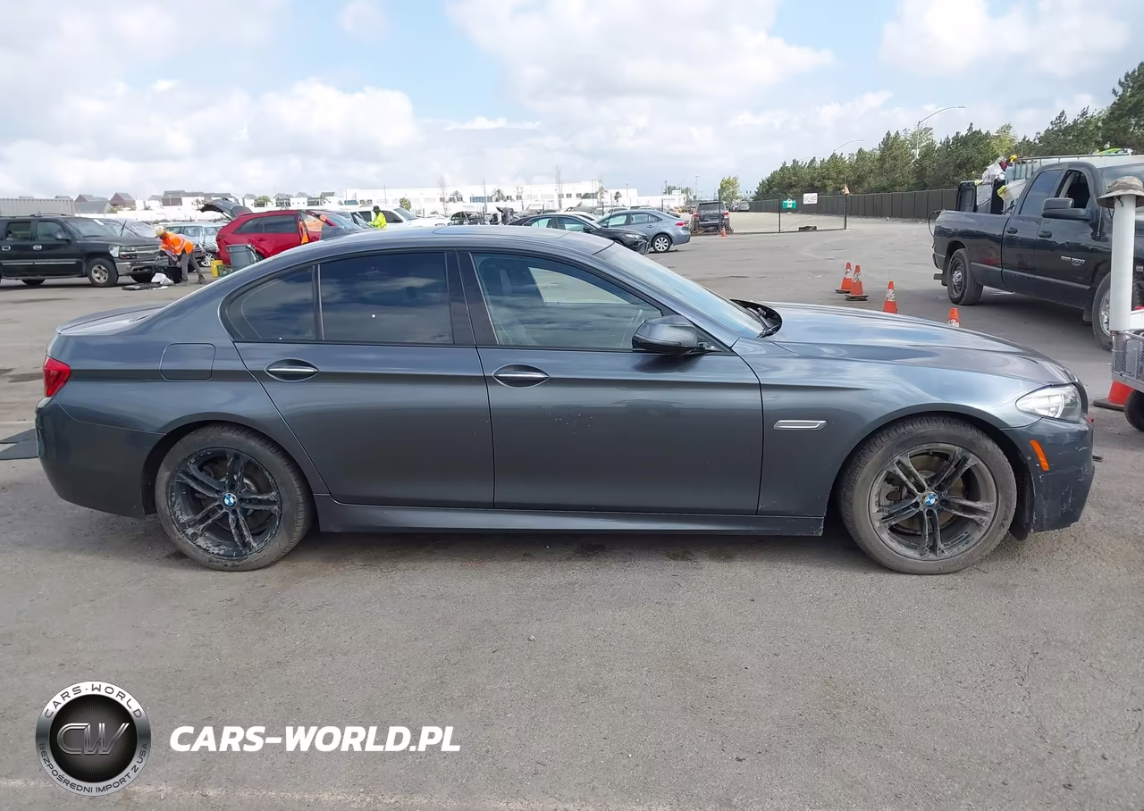 2016 BMW 528I xDrive VIN:WBA5A7C52GG149978 - 13