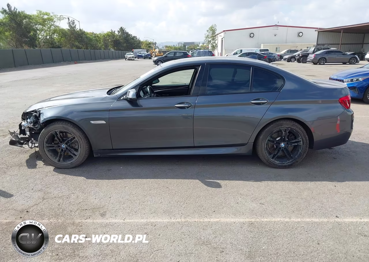 2016 BMW 528I xDrive VIN:WBA5A7C52GG149978 - 14