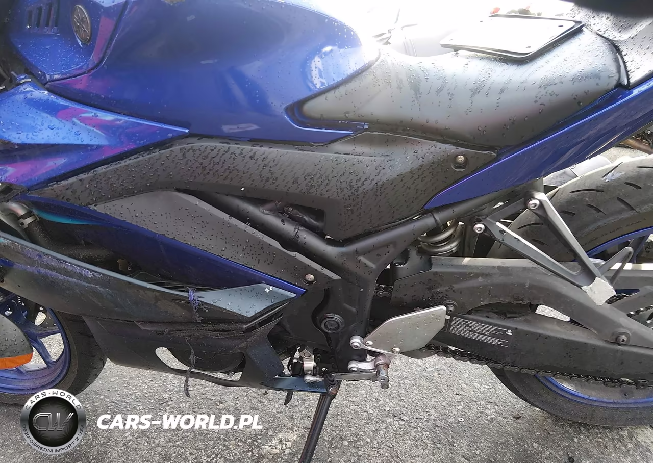 2024 Yamaha Yzfr3 A VIN:MH3RH18Y1RK017943 - 9