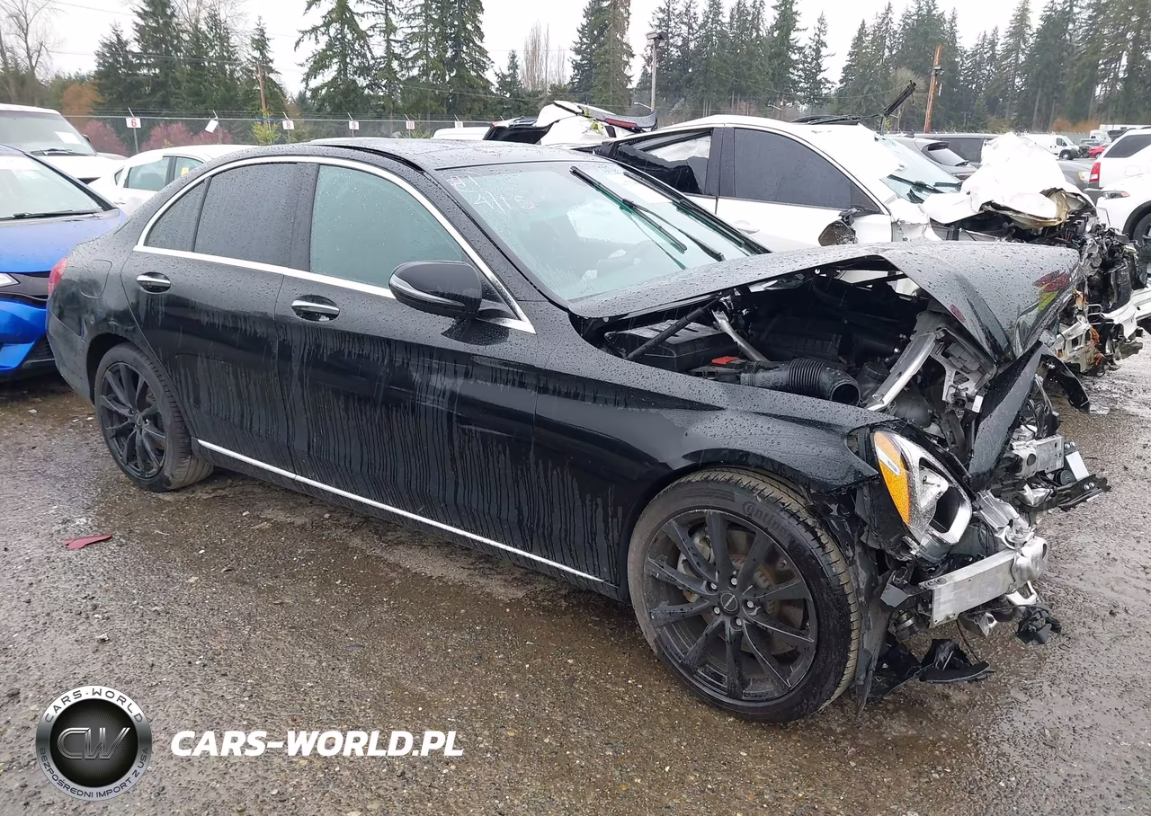 2018 Mercedes-Benz C 300 VIN:55SWF4JB8JU261457 - 12