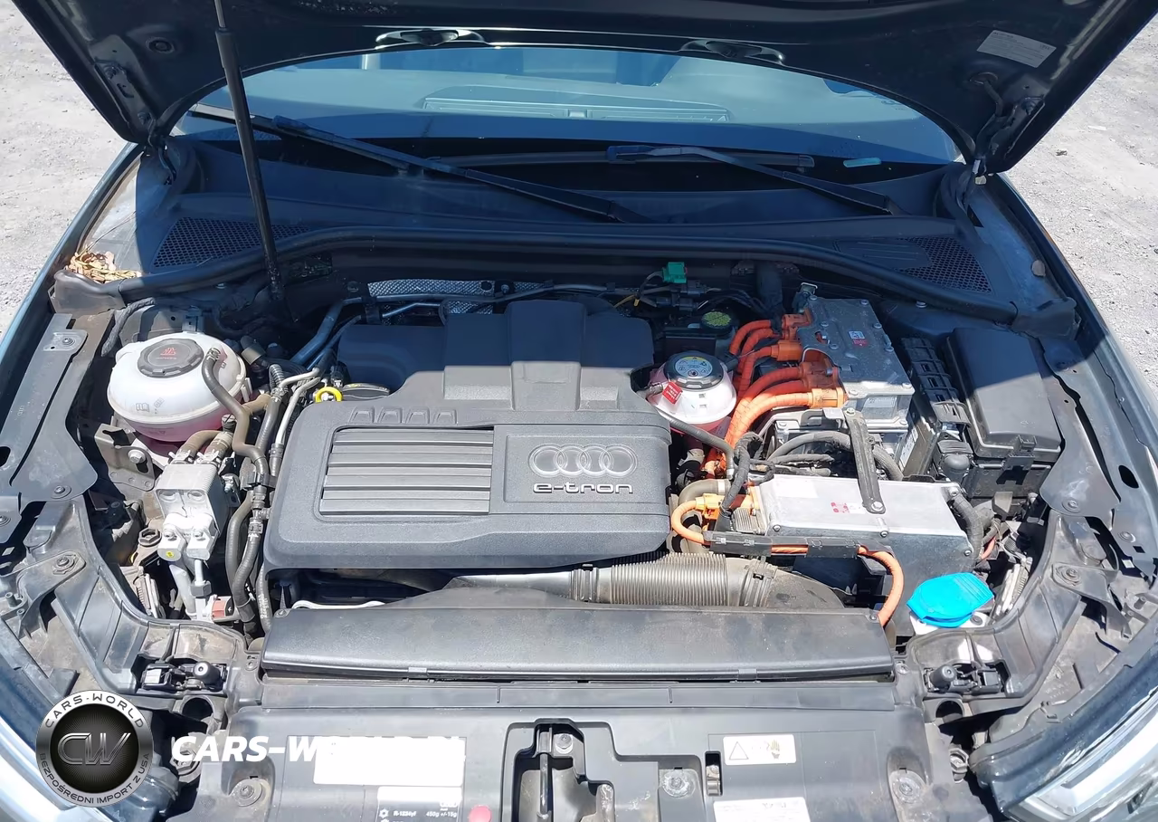2018 Audi A3 E-Tron 1.4T Premium-1.4T Tech Premium VIN:WAUTPBFFXJA155003 - 10