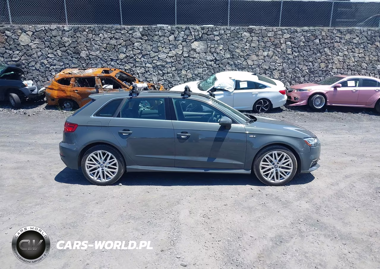 2018 Audi A3 E-Tron 1.4T Premium-1.4T Tech Premium VIN:WAUTPBFFXJA155003 - 13