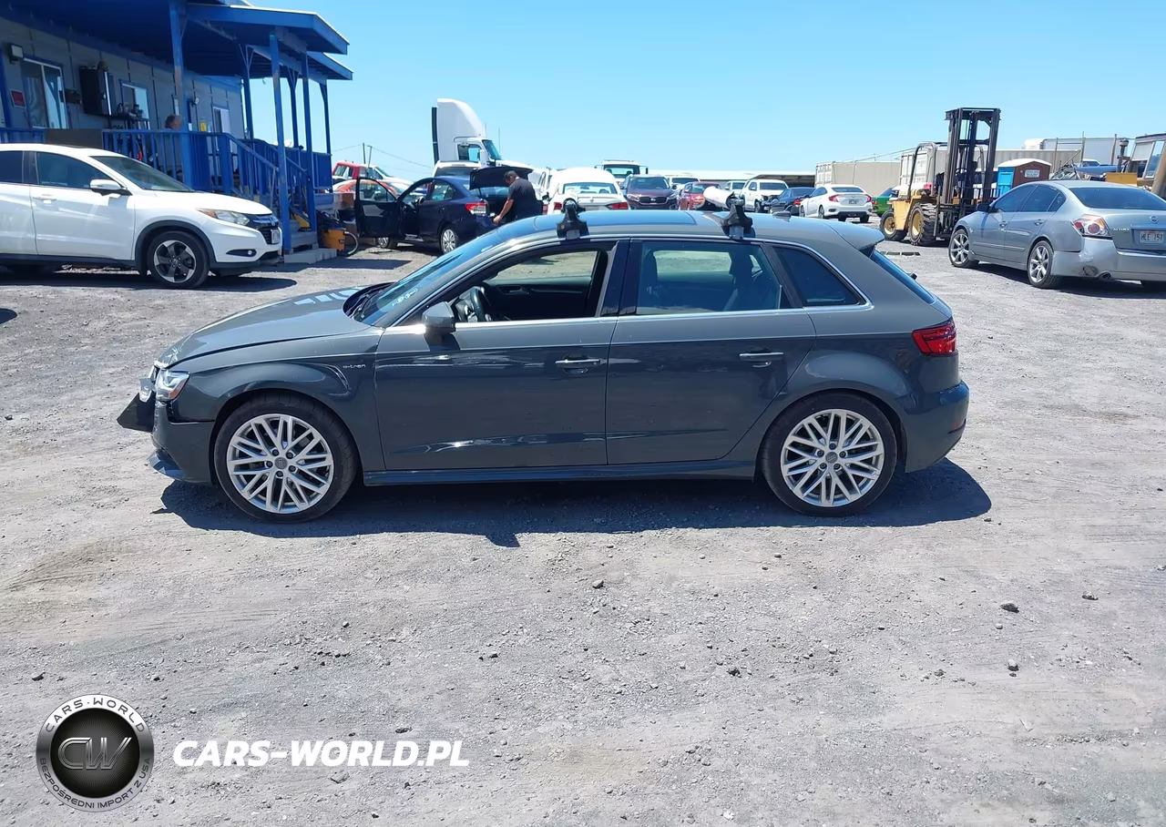 2018 Audi A3 E-Tron 1.4T Premium-1.4T Tech Premium VIN:WAUTPBFFXJA155003 - 14