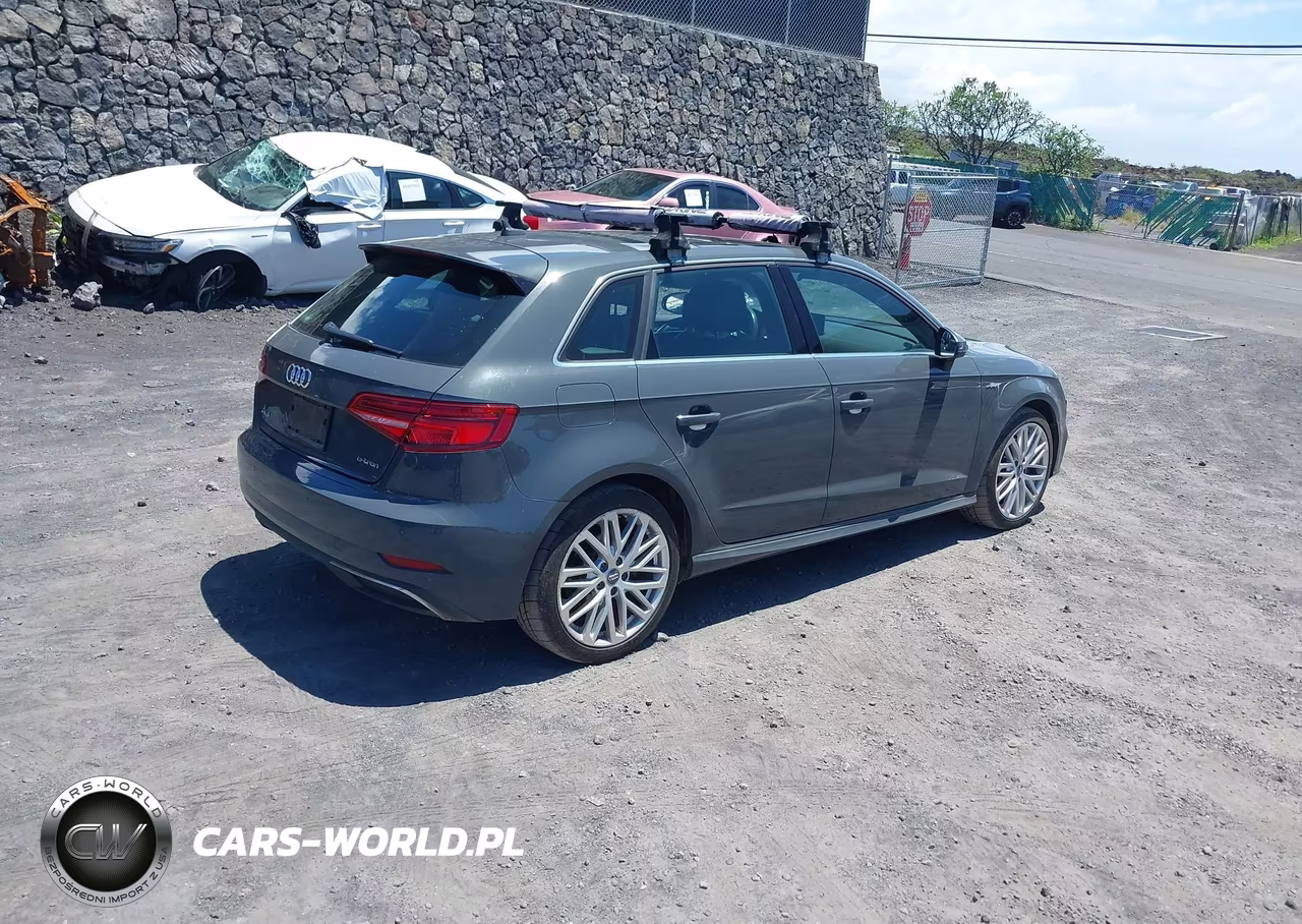 2018 Audi A3 E-Tron 1.4T Premium-1.4T Tech Premium VIN:WAUTPBFFXJA155003 - 4