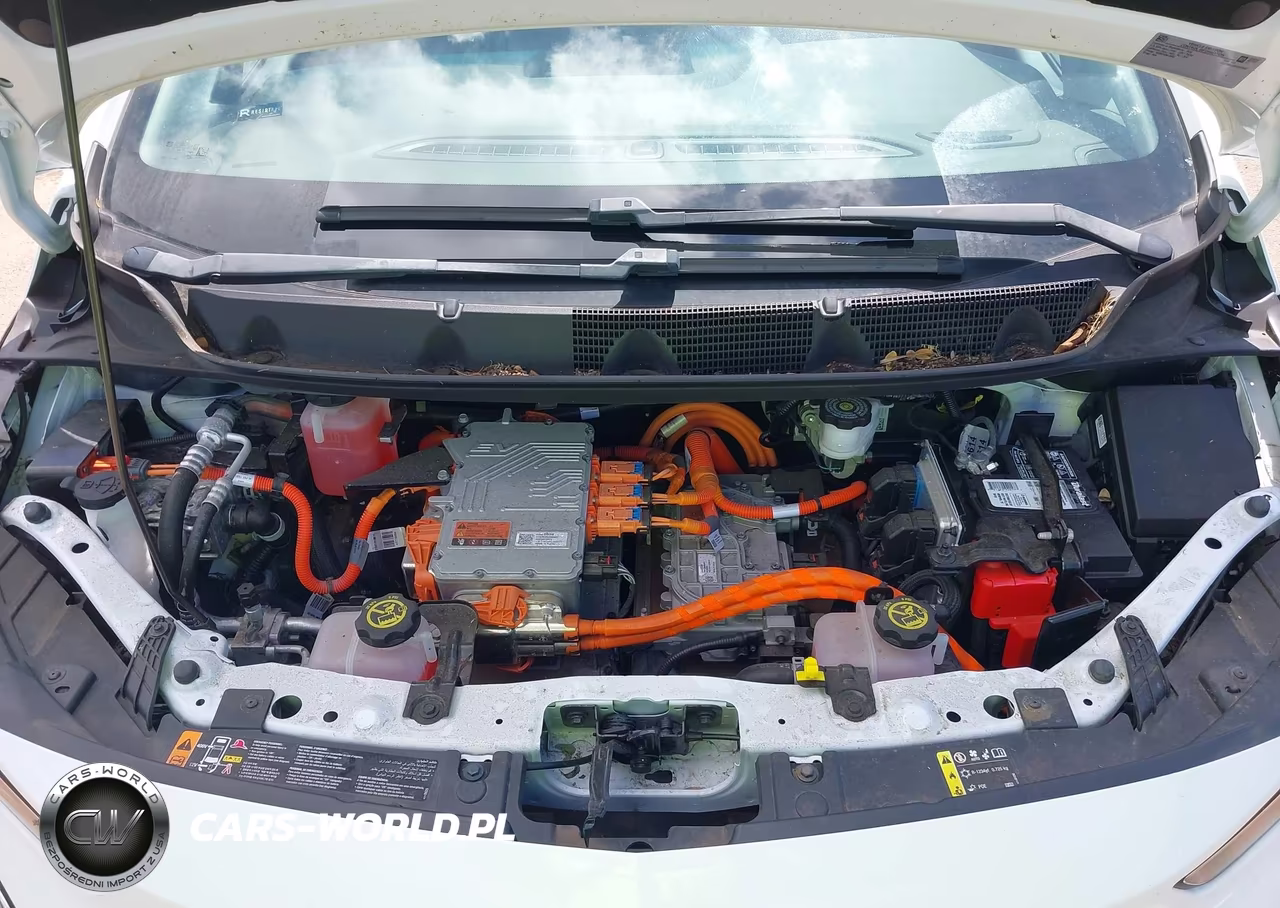 2022 Chevrolet Bolt Ev Fwd 1Lt VIN:1G1FW6S09N4123801 - 10