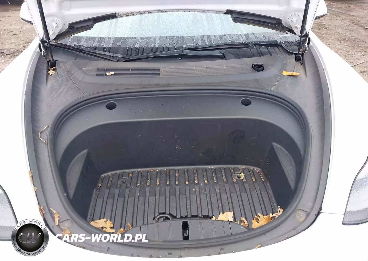 2022 Tesla Model 3 Rear-Wheel Drive VIN:5YJ3E1EA2NF165790 - 10