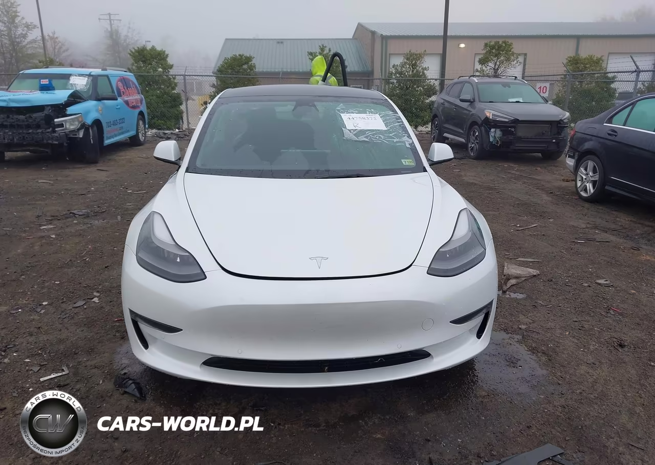 2022 Tesla Model 3 Rear-Wheel Drive VIN:5YJ3E1EA2NF165790 - 12