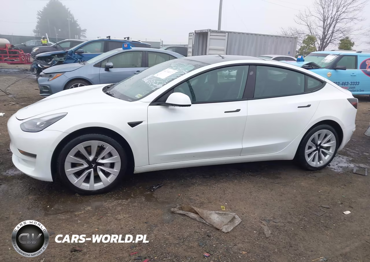 2022 Tesla Model 3 Rear-Wheel Drive VIN:5YJ3E1EA2NF165790 - 14