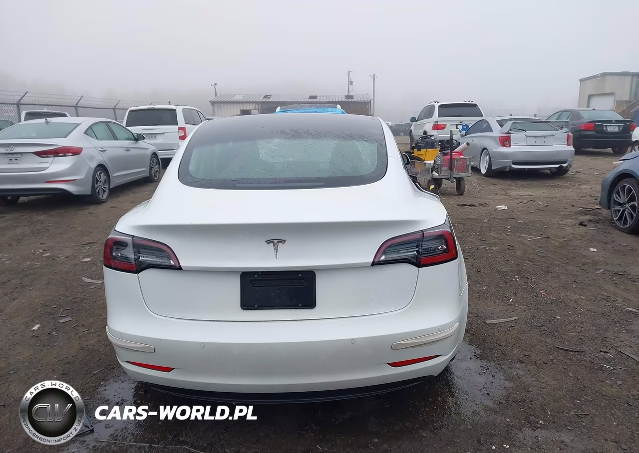 2022 Tesla Model 3 Rear-Wheel Drive VIN:5YJ3E1EA2NF165790 - 16