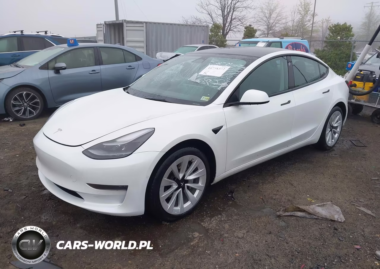 2022 Tesla Model 3 Rear-Wheel Drive VIN:5YJ3E1EA2NF165790 - 2