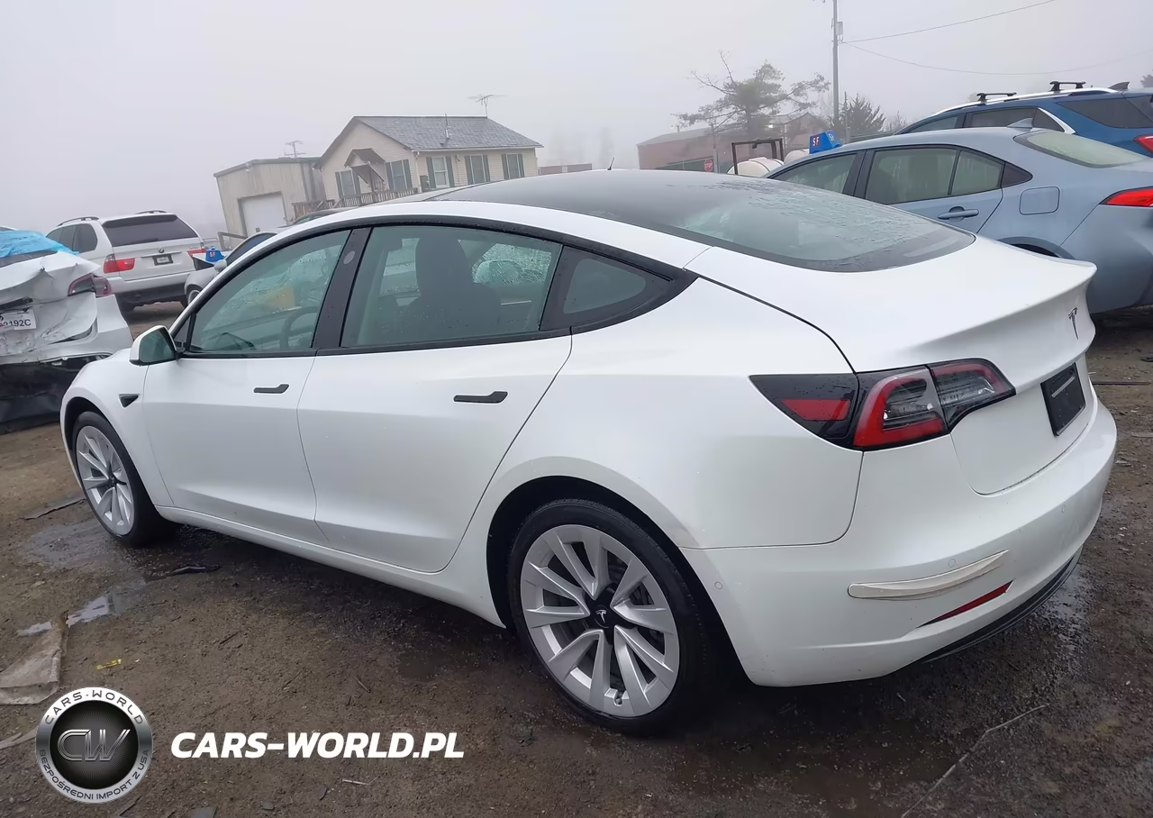 2022 Tesla Model 3 Rear-Wheel Drive VIN:5YJ3E1EA2NF165790 - 3