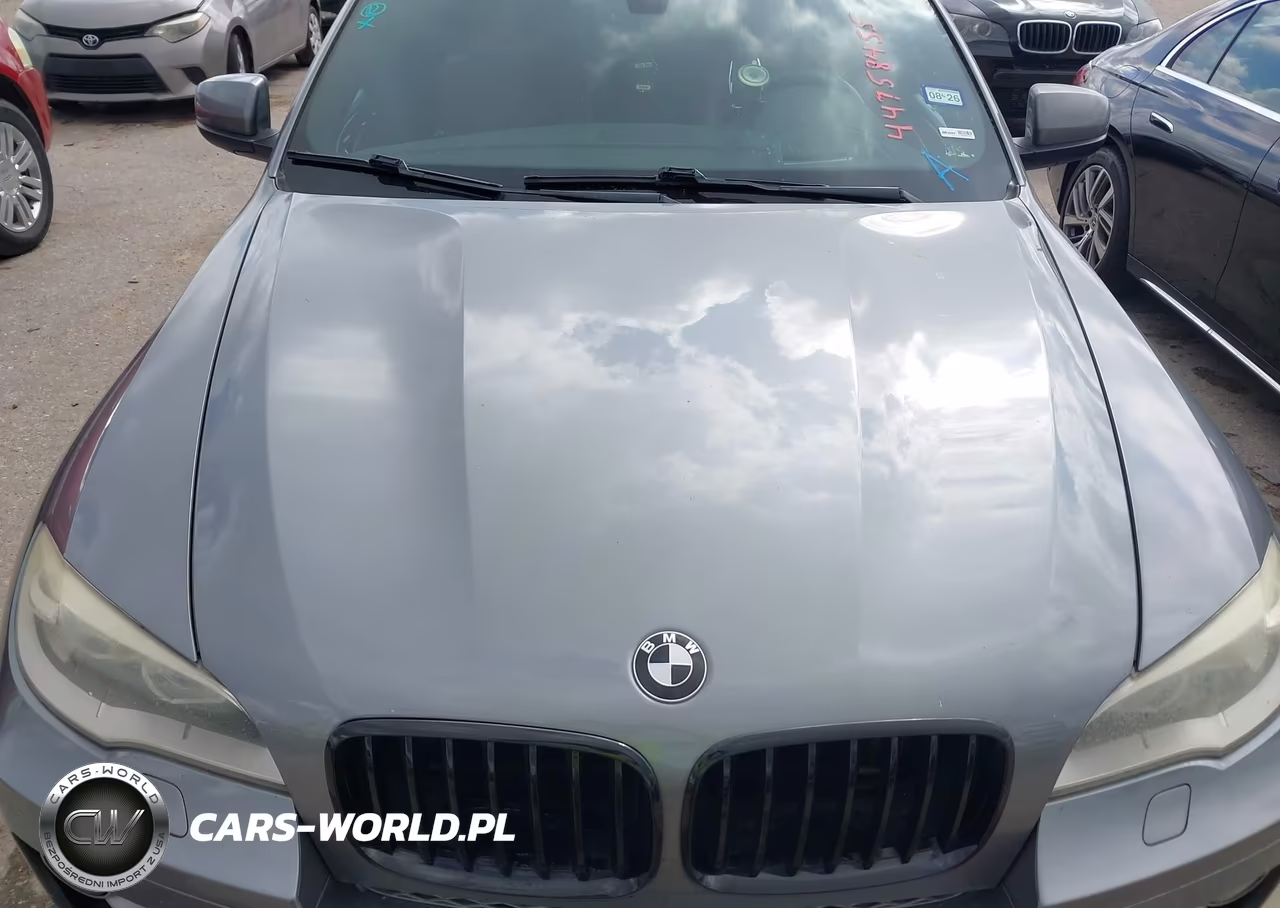 BMW X6 XDRIVE3 VIN:5UXFG2C50E0C44071 - 10