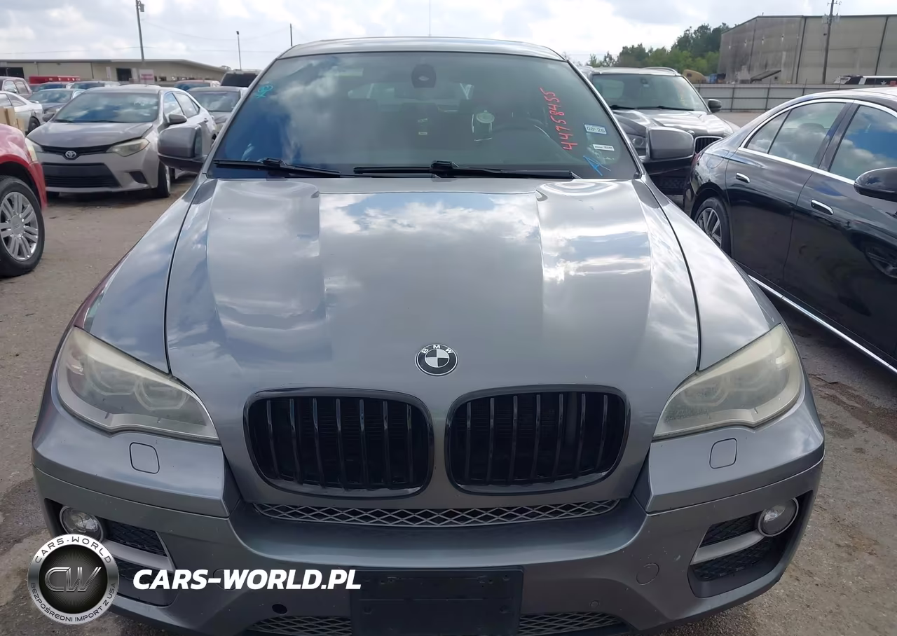 BMW X6 XDRIVE3 VIN:5UXFG2C50E0C44071 - 12