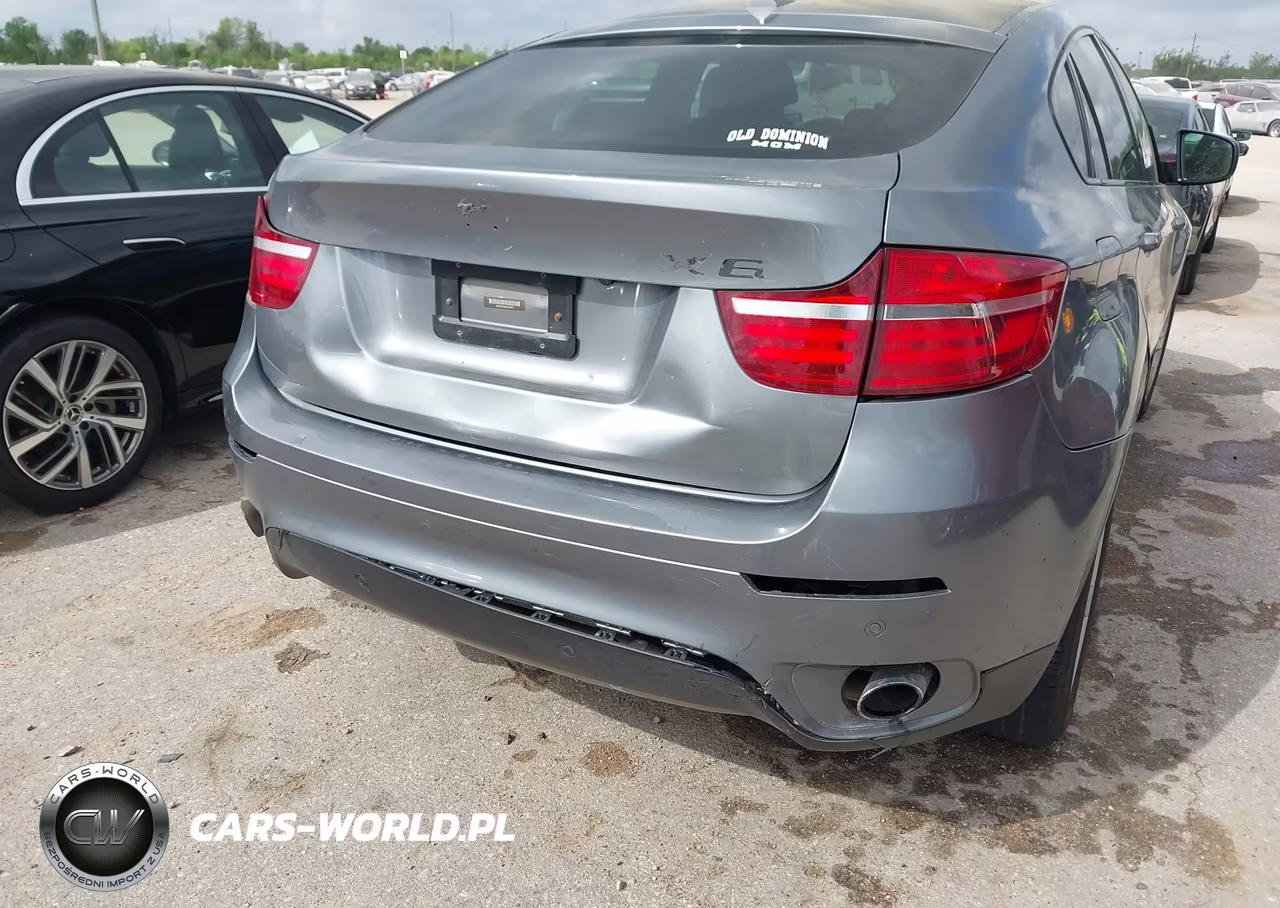 BMW X6 XDRIVE3 VIN:5UXFG2C50E0C44071 - 17