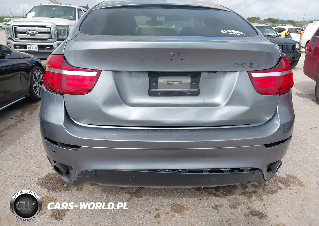 BMW X6 XDRIVE3 VIN:5UXFG2C50E0C44071 - 18