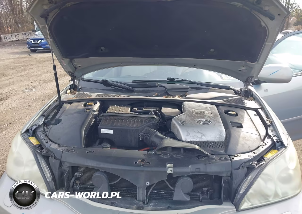2006 Lexus Rx 400H VIN:JTJHW31U560039354 - 10