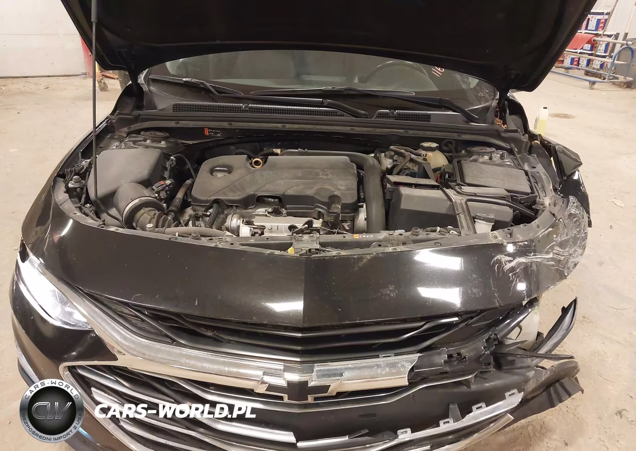 2019 Chevrolet Malibu Lt VIN:1G1ZD5ST8KF116104 - 10
